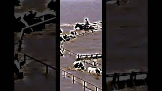 The 1997 Modesto Flood edit fyp [upl. by Korella]