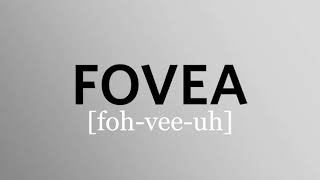 How to pronounce fovea [upl. by Eyahs830]