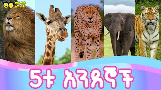 5ቱ አንደኞች Ye ethiopia lijoch songየኢትዮጵያ ልጆች መዝሙር [upl. by Hameean]