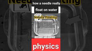 Needless float on water sciencefact education physics physicswallah experiment physicsexpert [upl. by Aicener]