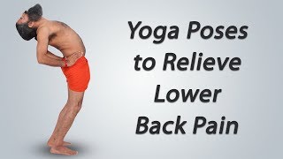 Yoga Poses to Relieve Lower Back Pain [upl. by Ycniuqal]