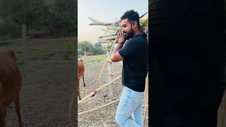 music gircow maldhari dwarka surat ahir youtubeshorts dailyvlog laxman youtube [upl. by Sammons280]