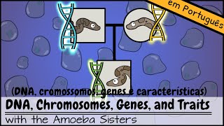 DNA cromossomos genes e características [upl. by Loggia]