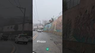 Baguios foggy ambience shorts foggyweather baguiofeels baguio baguiocity [upl. by Arron]