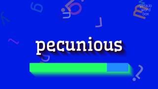 PECUNIOUS  HOW TO PRONOUNCE IT [upl. by Rubina469]