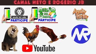 RESULTADO AO VIVO ROGERIO E NETO JB  FEDERAL  23112024 [upl. by Aleka]