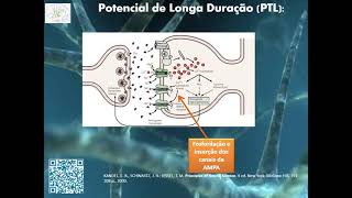 O que é Neuroplasticidade e Mecanismos da Potencialização de Longo Prazo PLT Neurociências [upl. by Ahearn]