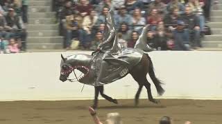 221008 Freestyle Reining Keith Ceddia Xtra Dun Step [upl. by Aikkin]