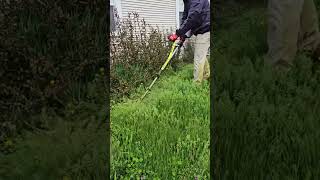 Grass Edging lawncare grassedging mowing [upl. by Coltun]