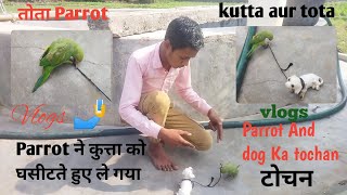 Parrot 🦜 ओर कुत्ता का एक्सपेरिमेंट nakali kutta aur tota aur asali tota [upl. by Blankenship]