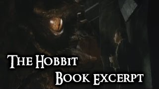 The Hobbit Book Excerpt Smaug Finds Bilbo [upl. by Ligriv]