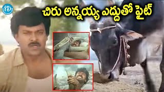 Aapadbandhavudu Movie Scene Chiranjeevi Jandhyala Meenakshi  iDream Adilabad [upl. by Cristin]