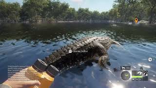 Piebald Crocodile HCOTW [upl. by Tezil464]