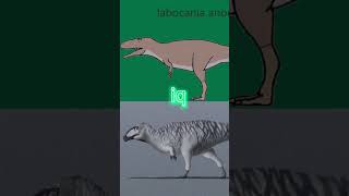 Labocania anomala vs Shaochilong maortuensis vsedit vs edit paleontology carcharodontosauridae [upl. by Ahsinaj]