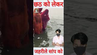 छठ पूजा के दौरान जहरीले सांप को सामने देखकर shorts chhathpuja [upl. by Maram]