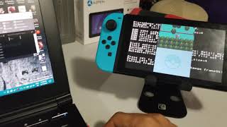 VIRTUAL CONSOLE Homebrew Nintendo Switch Nintendo DS 400  502 Tutorial and Overview [upl. by Mlawsky985]