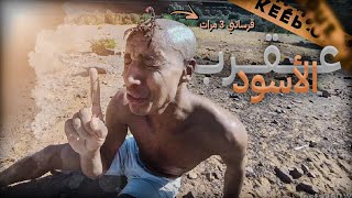 🚨جربت لقرسة ديال عقرب سوداء🦂قرستني 3 مرات فيدي🥵وأكلتها😋 في وسط صحراء🏜️ [upl. by Akehs]