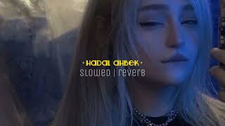 hadal ahbek  slowed reverb  for best experience 🎧 [upl. by Eimaral966]