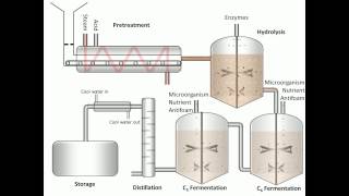 Process of Fermentation [upl. by Rebmetpes162]