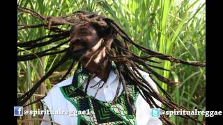 Alborosie amp Spiritual  Marathon [upl. by Iru]