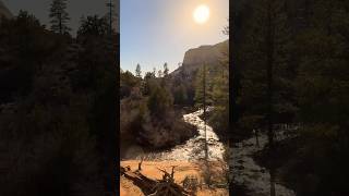 The Virgin River Zion National Park 🏜️🇺🇸 hiking utah travel nature [upl. by Atinehc]