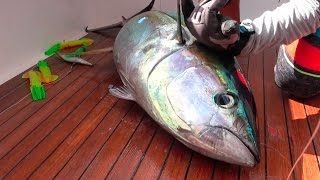 TUNA Catch Clean Cook and EAT Gabriellas Quepos Costa Rica [upl. by Nored883]