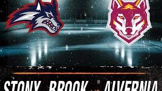 Alvernia University Ice Hockey vs Stoney Brook Seawolves 101324 Body Zone Reading PA [upl. by Tayib]