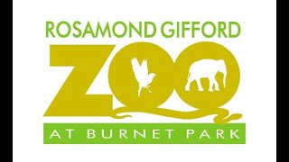 Rosamond Gifford Zoo Full Tour 2024 [upl. by Dorrahs473]