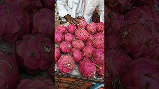 How to Grow dragon Fruits 2 🌿😍🌱 indianfarmer gardening indiangardeners phoolpatte vegegarden [upl. by Latnahs213]