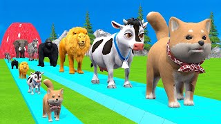 Paint amp Animals CowGorrilaElephantSheepDeerTiger Fountain Crossing Transformation Cartoon [upl. by Anuala562]