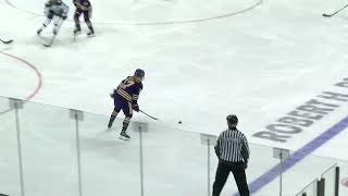 Bemidji State Womens Hockey Highlights vs Minnesota State Oct 29 2022 [upl. by Loftis]