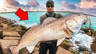 Fishing for ManSized Fish from Land  Jetty Fishing for the Biggest Fish [upl. by Scarface]