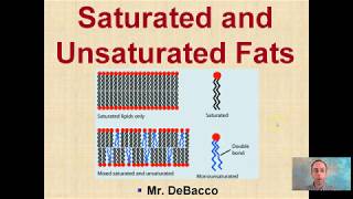 Saturated and Unsaturated Fats [upl. by Araht363]