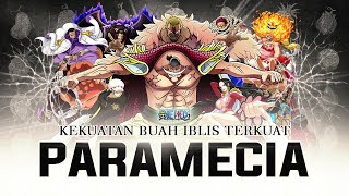 10 Buah Iblis Tipe Paramecia Terkuat di One Piece [upl. by Laefar]