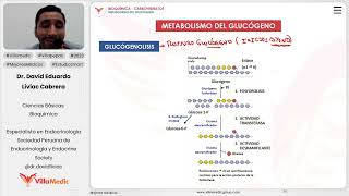 Carbohidratos  Metabolismo del glucógeno [upl. by Idnahc]