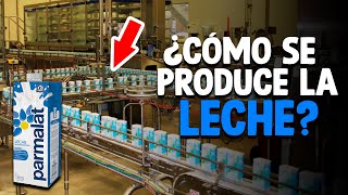 Cómo Se Produce La LECHE Proceso En Fábrica [upl. by Attikram903]