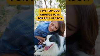 Five top dog snuffle toys for fall season [upl. by Anaeirb]