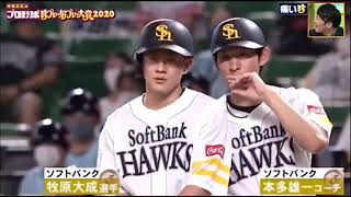 【プロ野球珍プレー】珍プレー 痛い編 2020 [upl. by Simona31]