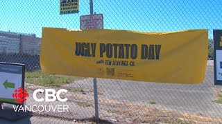 Ugly Potato Day giveaway growing in popularity [upl. by Yrocej]