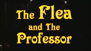 The Flea and the Professor video trailer [upl. by Jenette]