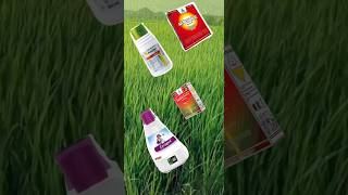 Best Insecticides for paddy in telugu  వరి పొట్టదశలో ఉపయోగించె Best insecticides [upl. by Ettelorahc]