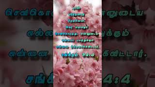 Tamil Bible verse bible bibleverse [upl. by Tiny136]