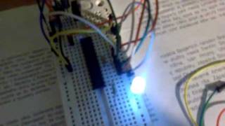 PWM Atmega8  1MHZ 8bit Sine wave LED [upl. by Esinel407]