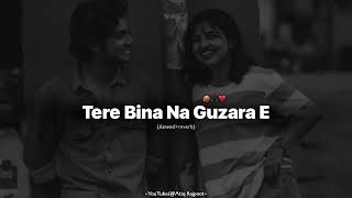 Tere Bina Na Guzara Ae  Josh Brar ft Kinza Hashmi  Perfectly SlowedReverb Song joshbrar [upl. by Sarkaria]