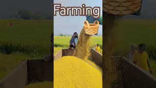 Defaulter punjabi song music punjabisong automobile bolywoodmusic hindisong farming [upl. by Hcardahs]