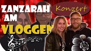 Auf dem Konzert von Gregor Meyle in Hamburg 1452016  Zanzarah am Vloggen  VLog 020 [upl. by Nolyad646]