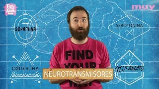 Los neurotransmisores  Neuropíldoras 12 [upl. by Anaibaf]