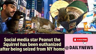 Social Media Mourns Peanut the Squirrel Euthanized Following NY Seizure [upl. by Ettenot]