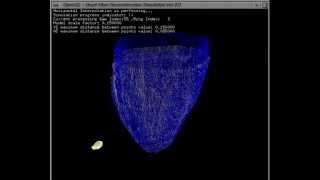 Dynamic Cardiac Mechanics Based On FiberFluid Model [upl. by Eednas368]