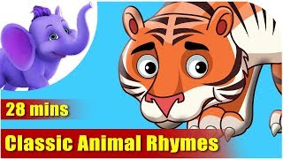 Animal Rhymes [upl. by Yetnruoc]